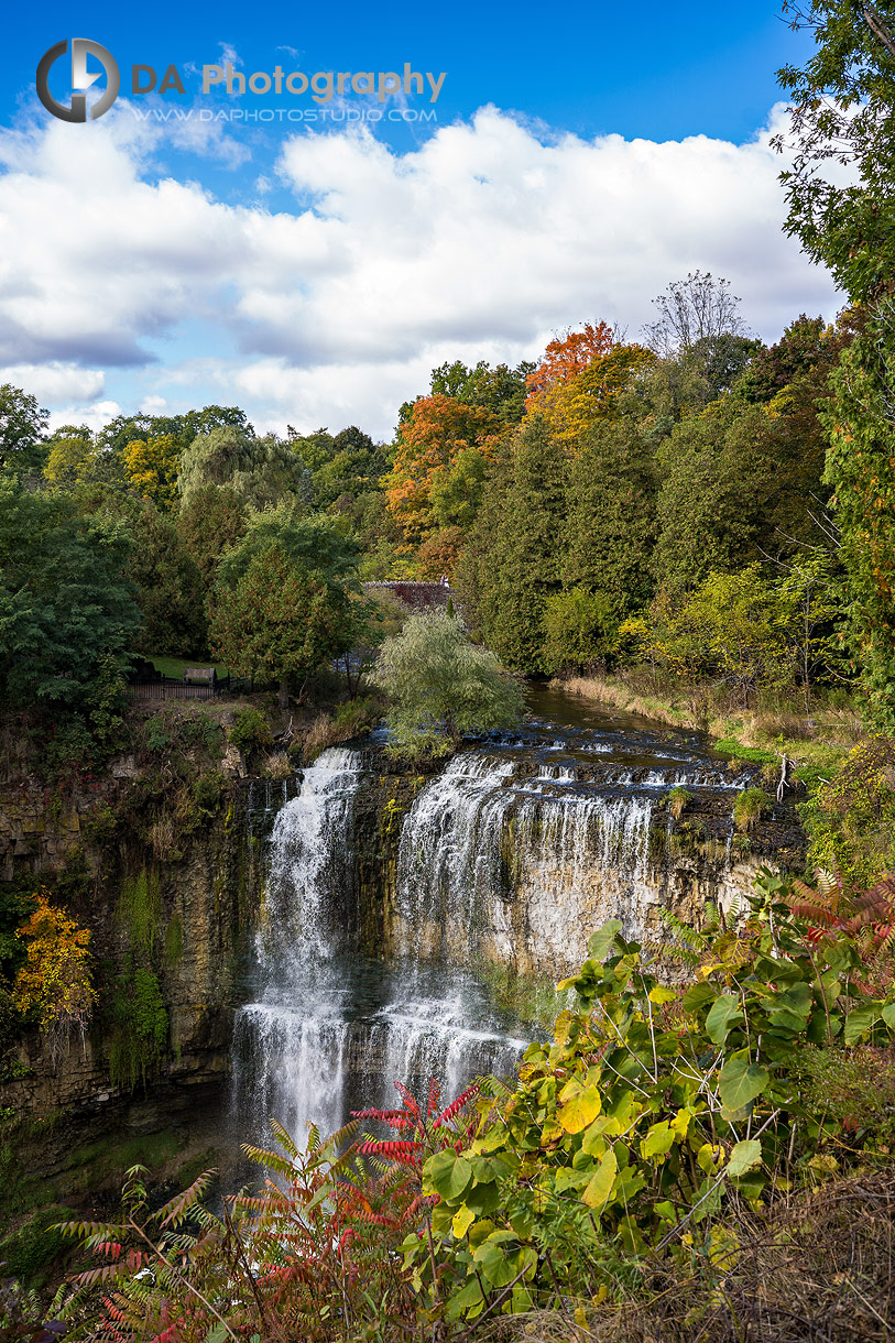 Hamilton engagement photographers at Webster's Falls