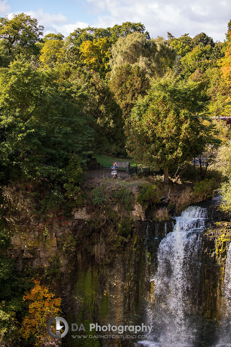 Hamilton Webster's Falls Engagements