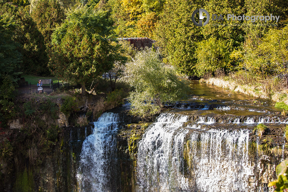 Webster's Falls Engagement