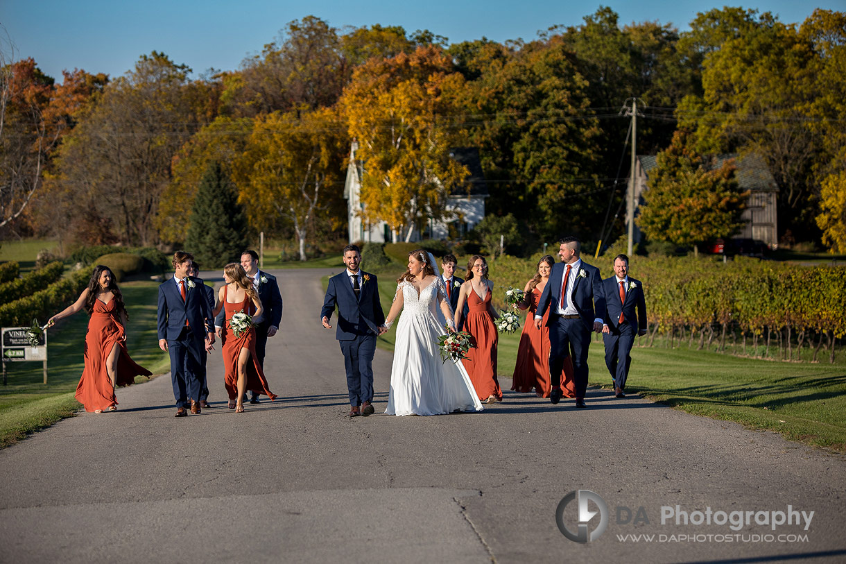 Bridal Party at Vineland Estates Winery Wedding