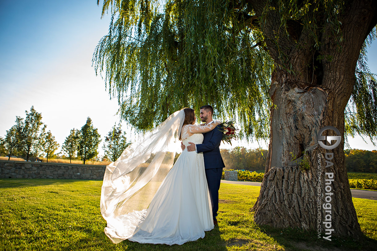 Vineland Estates Winery Garden Weddings