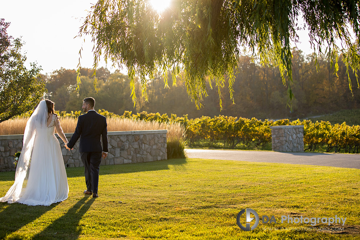 Bride and Groom at Vineland Estates Winery