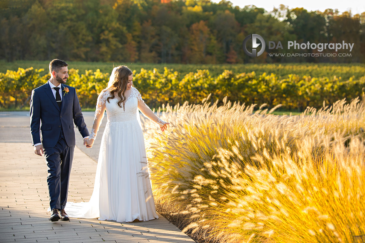 Weddings at Vineland Estates Winery in Lincoln