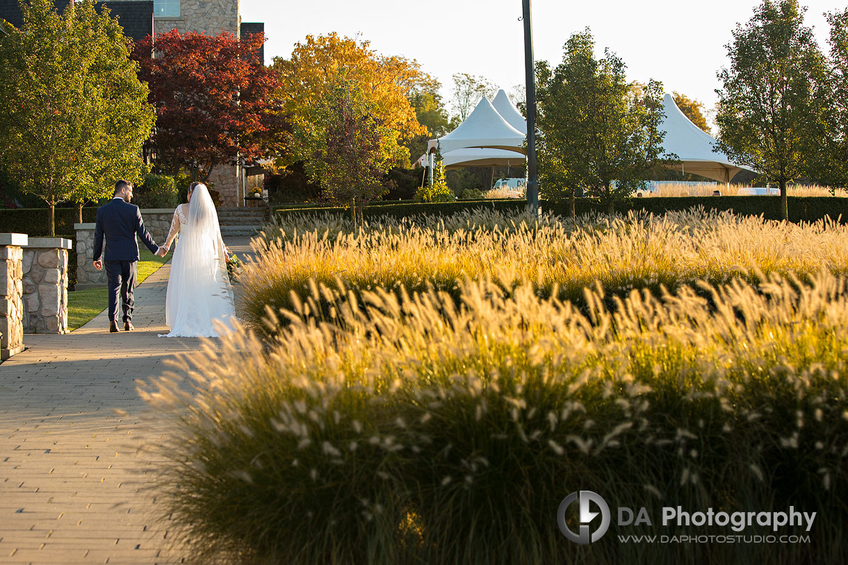 Wedding Pictures at Vineland Estates Winery in Lincoln