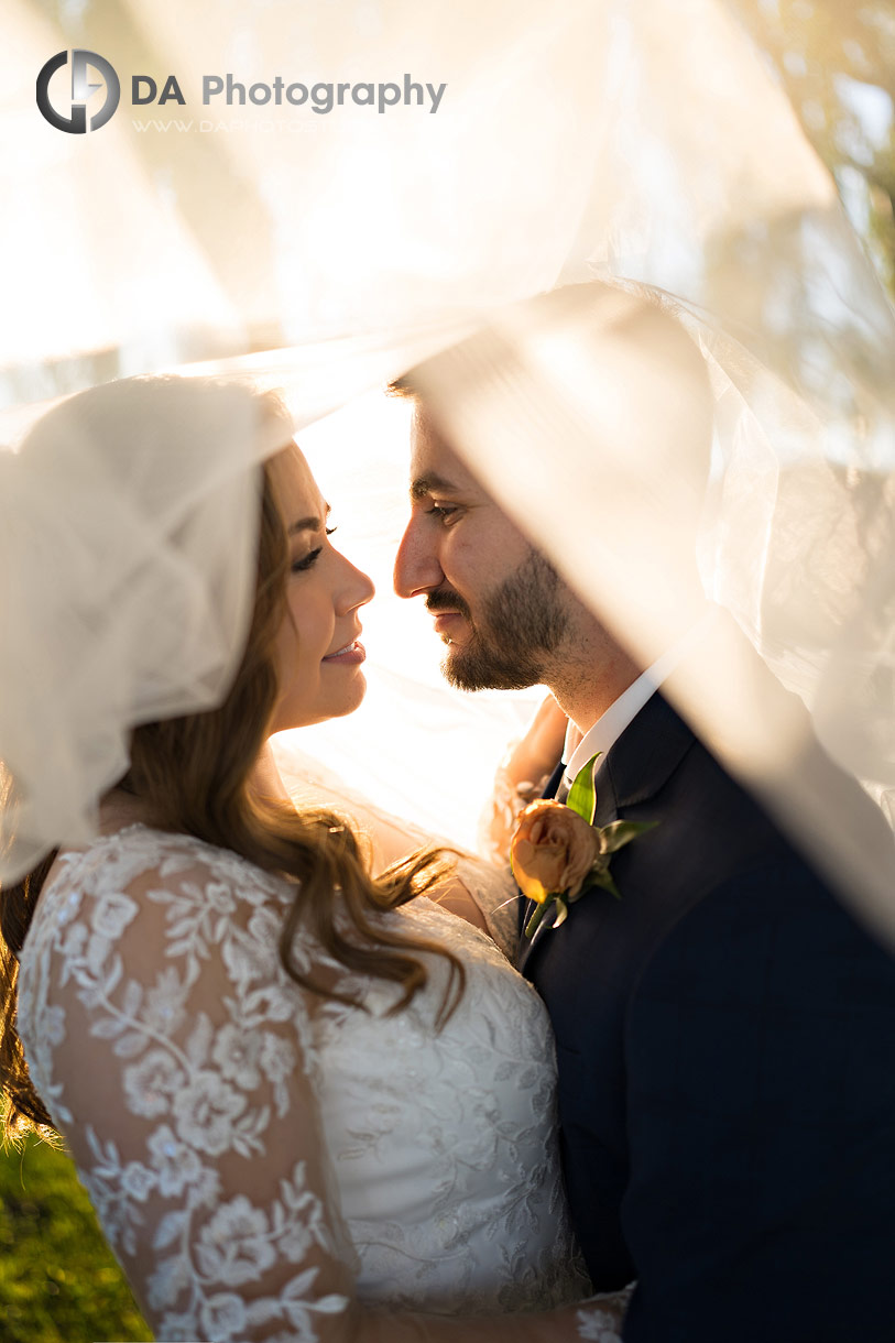 Wedding Photographers for Vineland Estates Winery