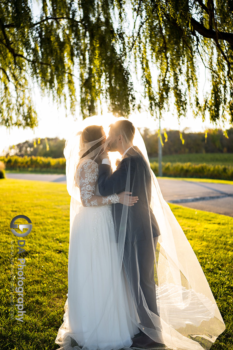 Wedding Photography at Vineland Estates Winery