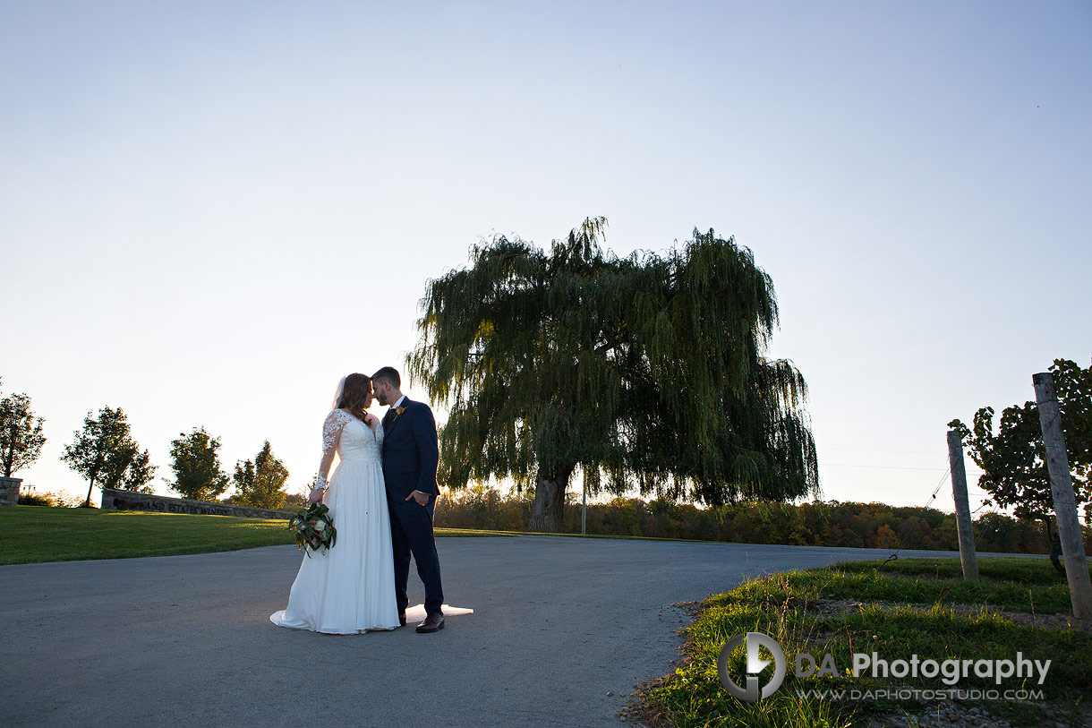 Vineland Estates Winery Weddings in Lincoln