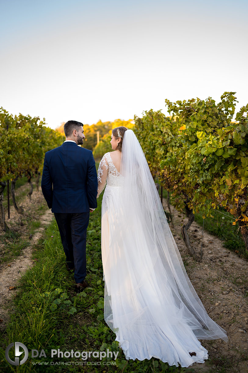 Vineland Estates Winery Wedding Photos