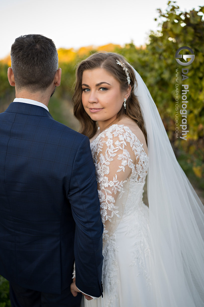 Winery Wedding in Lincoln