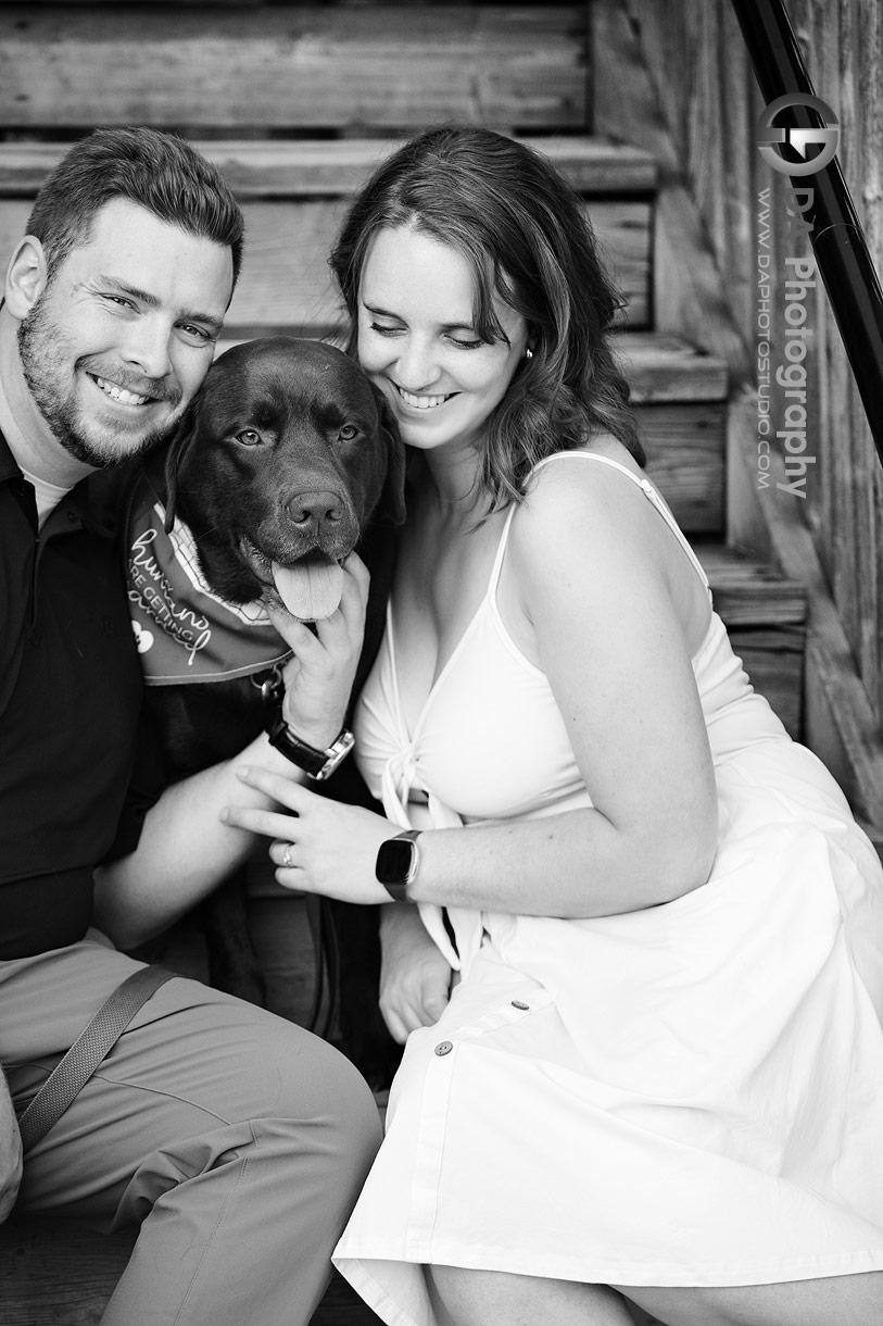 Top photo locations in Elora for a dog