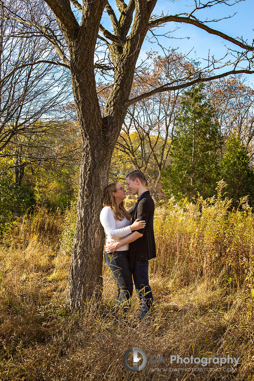 Top engagement photographers for Guelph Arboretum