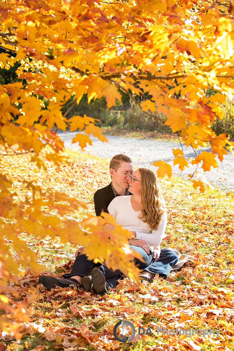Guelph Arboretum Engagement photographer