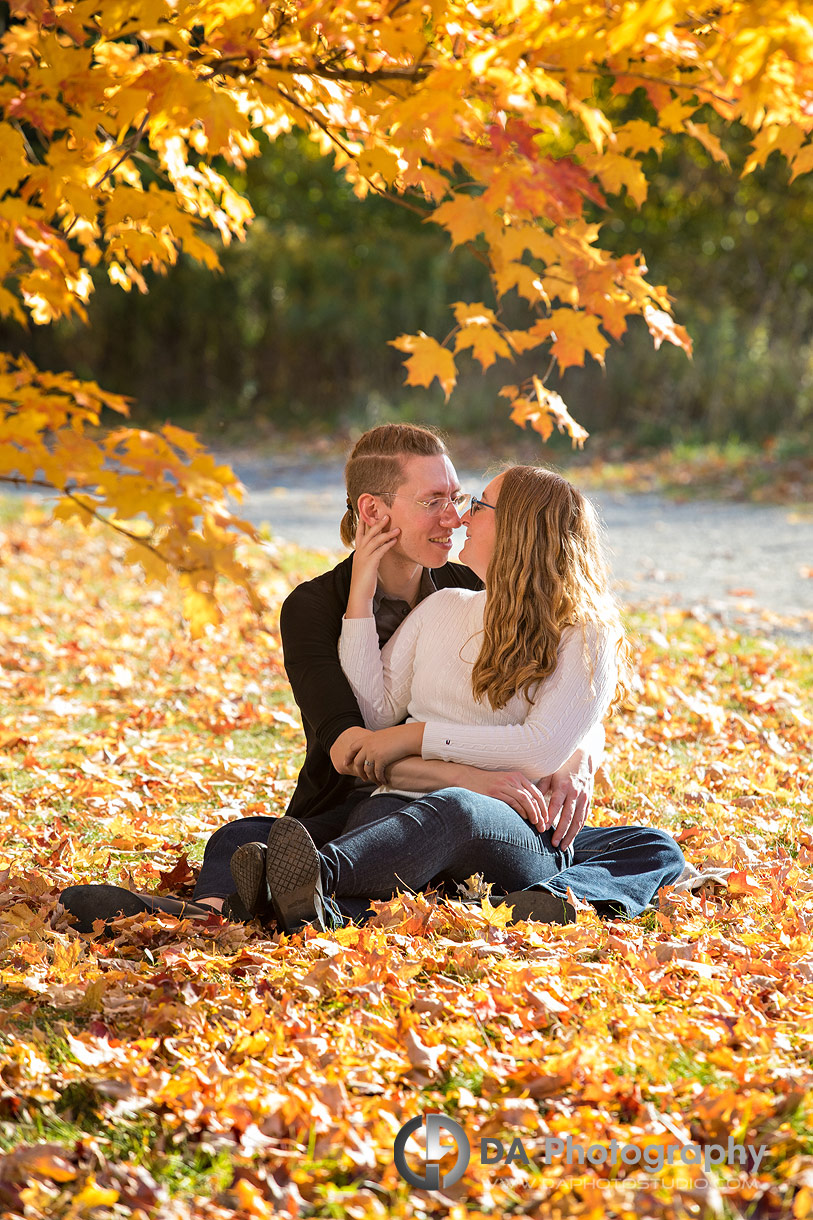 Top engagement photographer for Guelph Arboretum