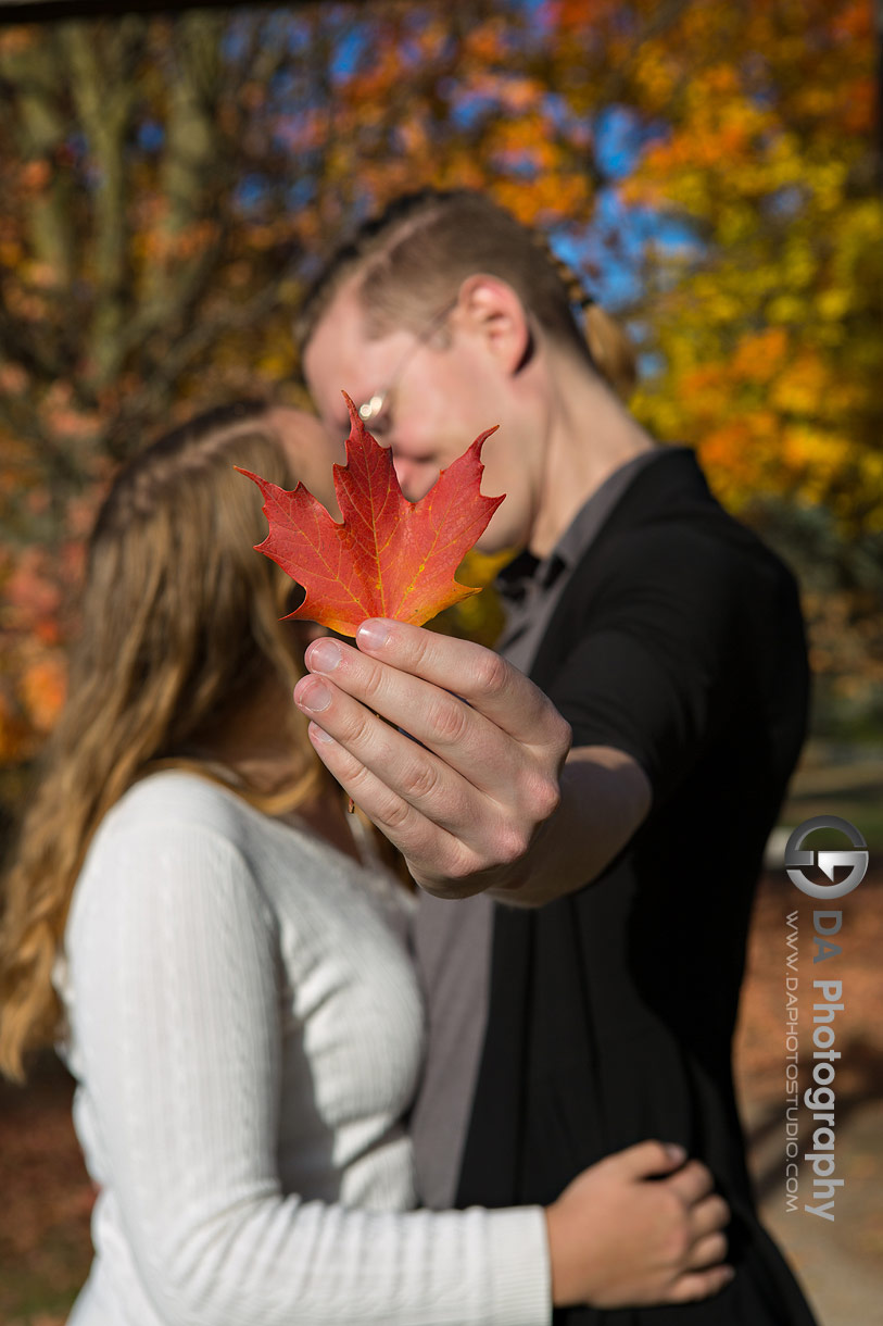 Top photo locations in Guelph