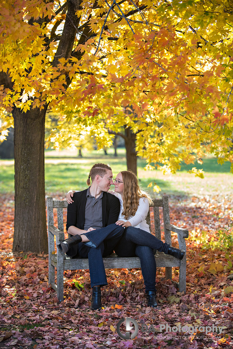 Guelph Arboretum Engagements in Fall