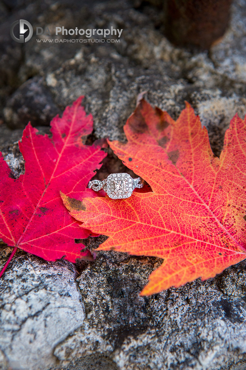 Engagement photographer in Caledon