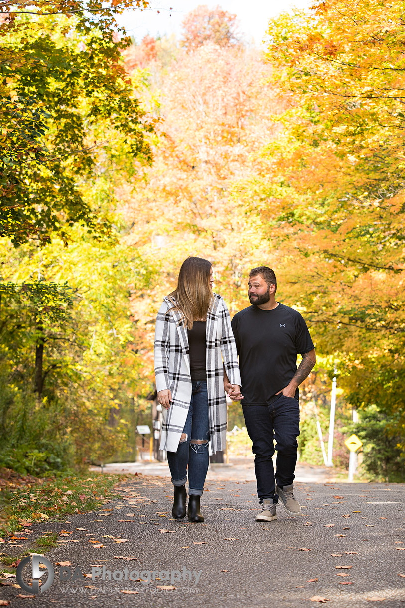 Belfountain Conservation Area engagement photography