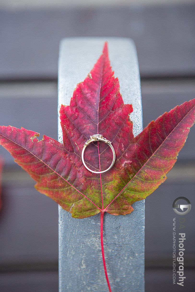 Close up Photo of an engagement ring placed on red maple leaf