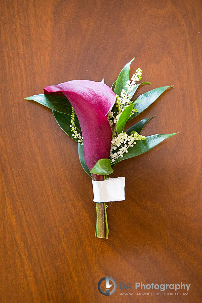 Wedding Photos in Ancaster Wedding Photos in Ancaster