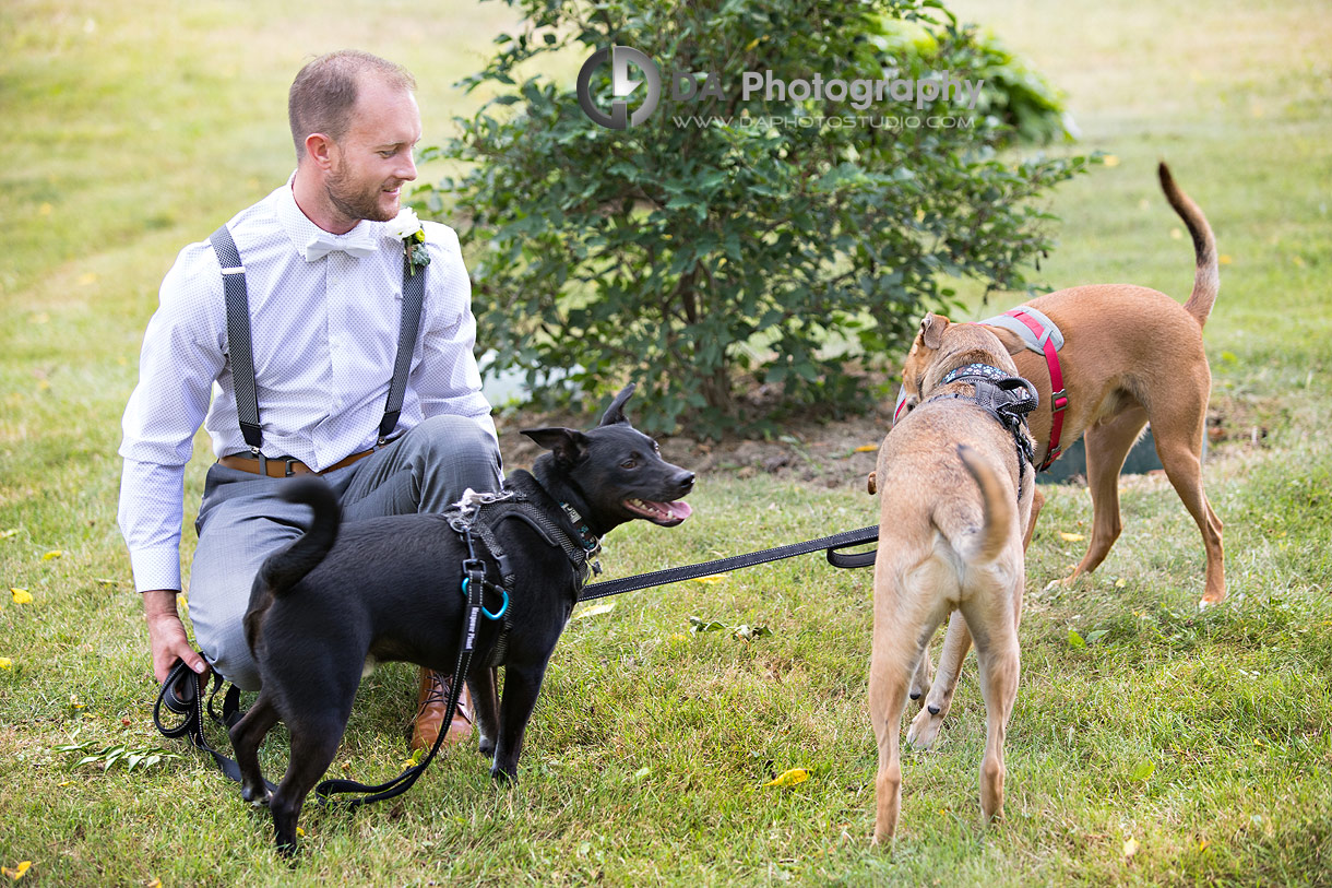 Groom plays with his dogs on a wedding day