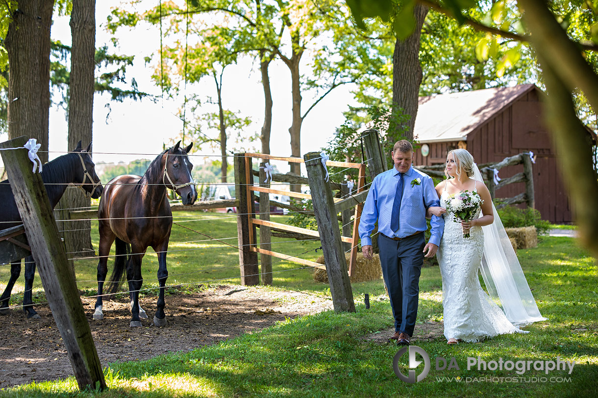 Outdoor Wedding Ceremony at Farm Wedding with horses