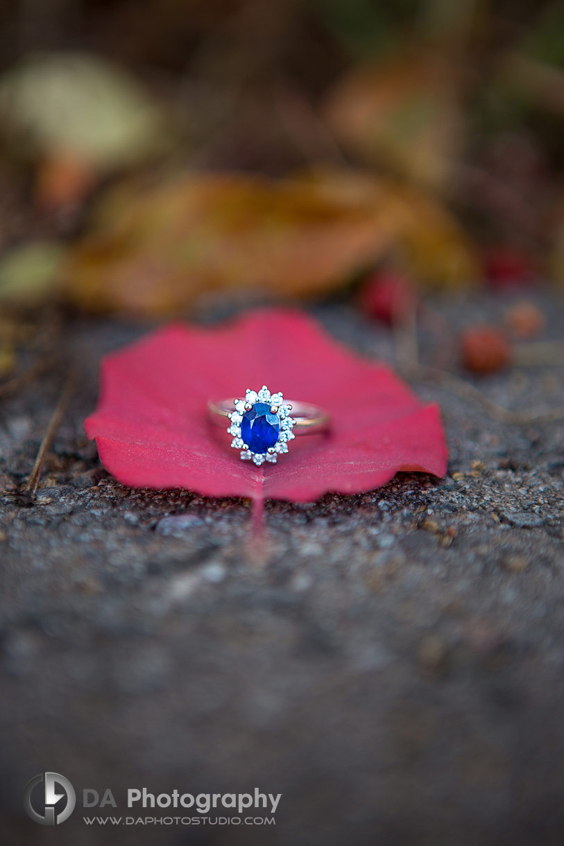 Photo of an Engagement ring on red leaf in Cambridge