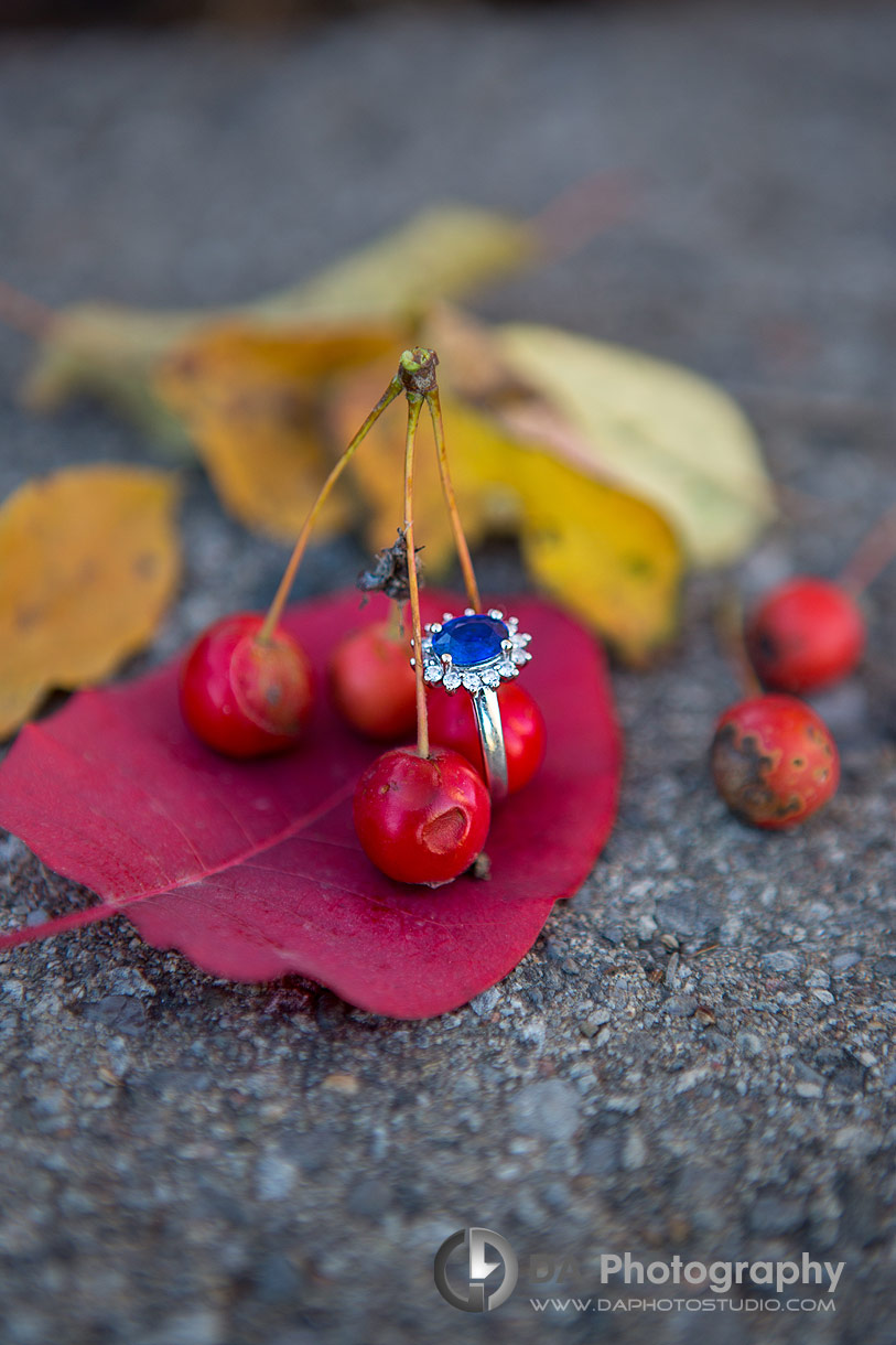 Best Engagement Photo Locations in Cambridge 