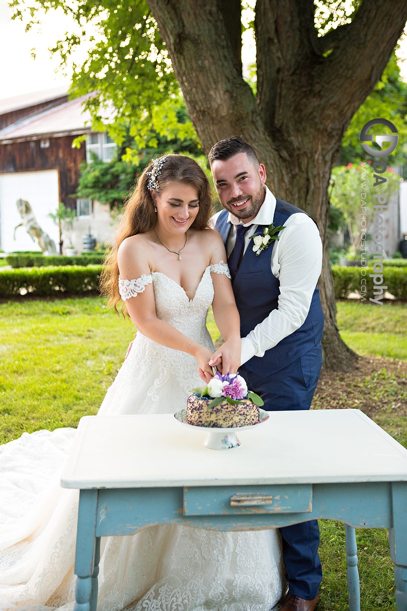 Bride and groom cut their wedding cake