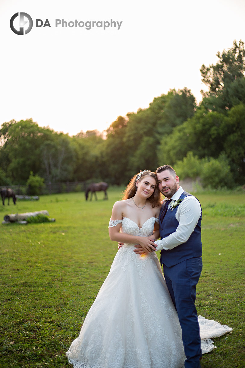 Wedding portraits with horses at NithRidge Estates