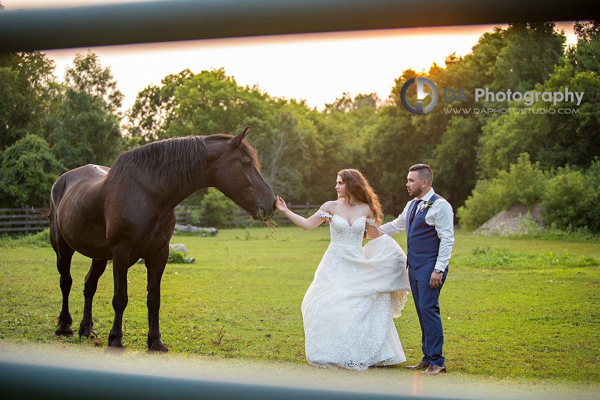 Couple poses near the stables with horses grazing behind them during their boho wedding photo session at NithRidge Estate