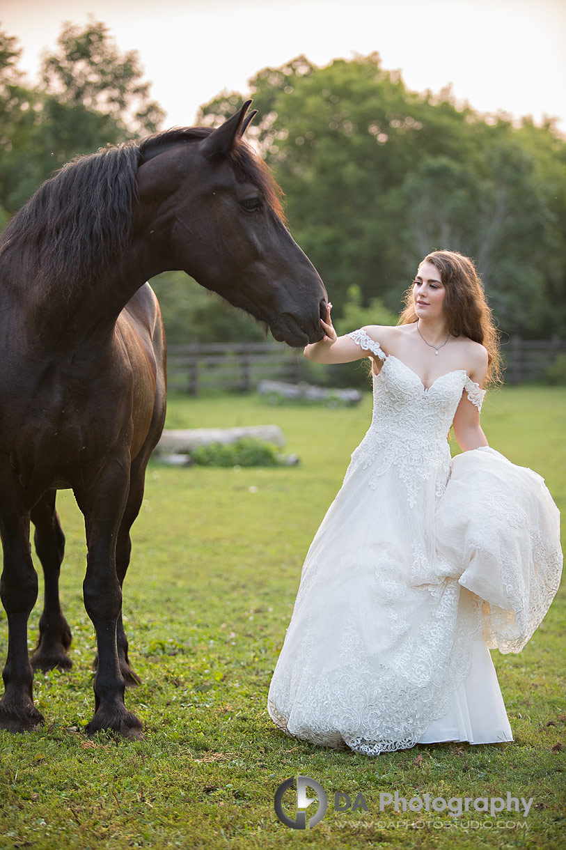  Photo of a bride at golden hour with horse