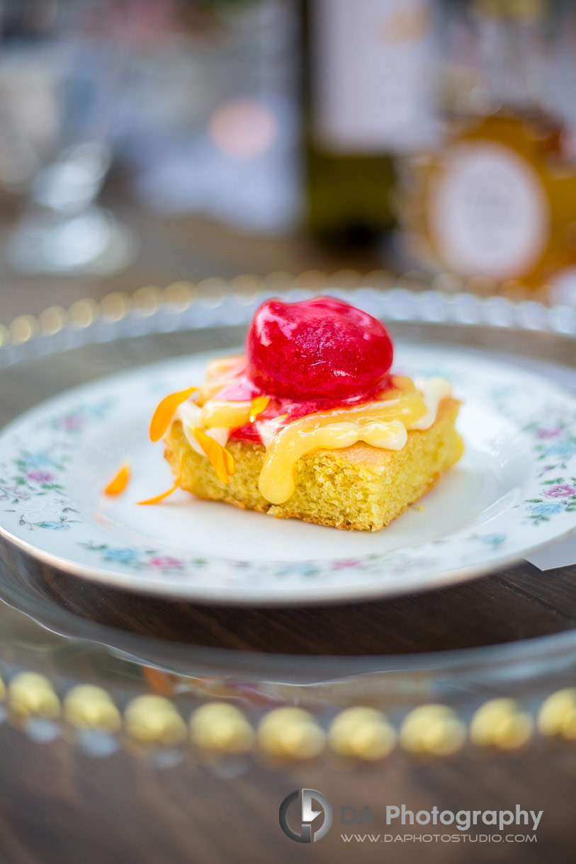 Close up phot of a desert