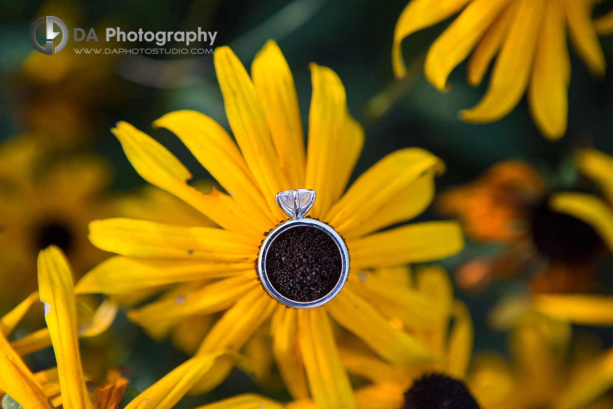 Close Up photo of a engagement ring on a fully bloomed flower
