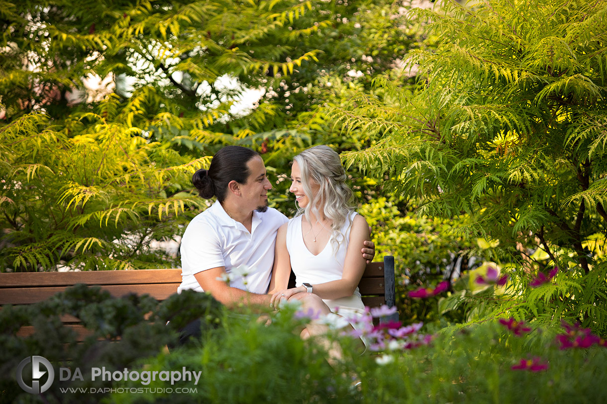 Waterfront engagement photography in Oakville
