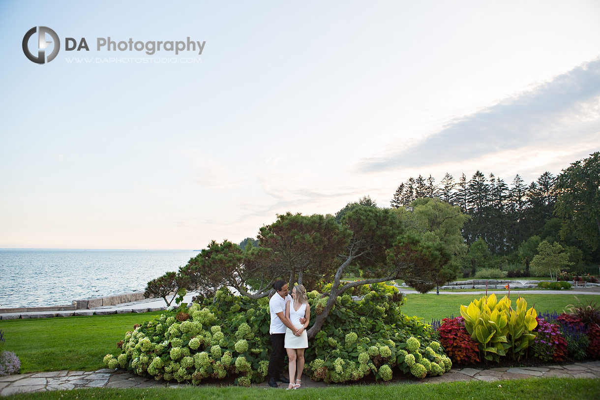 Engagement photography at Gairloch Gardens