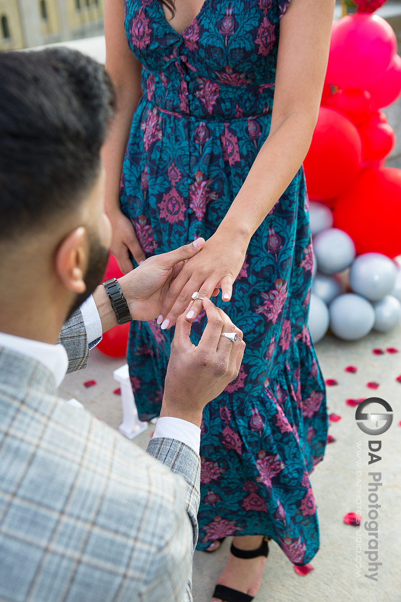  Toronto proposal photographers at R.C. Harris Water Treatment Plant