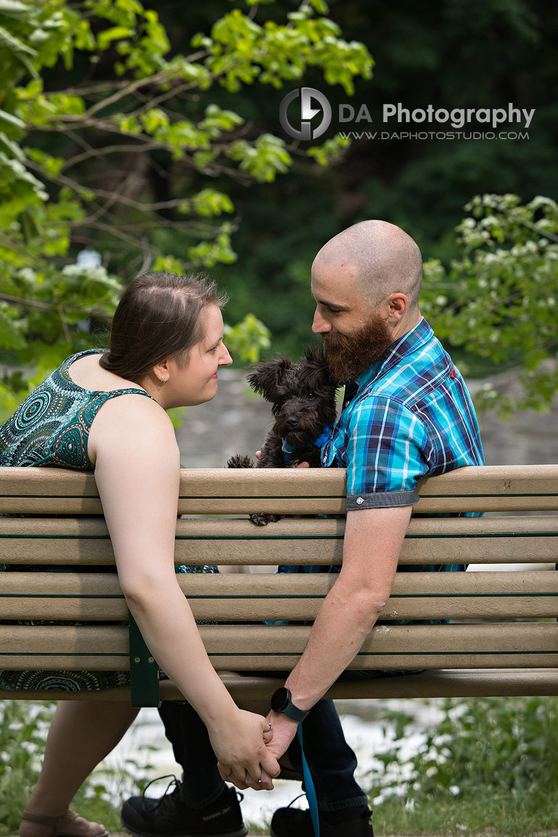 Toronto engagement photography