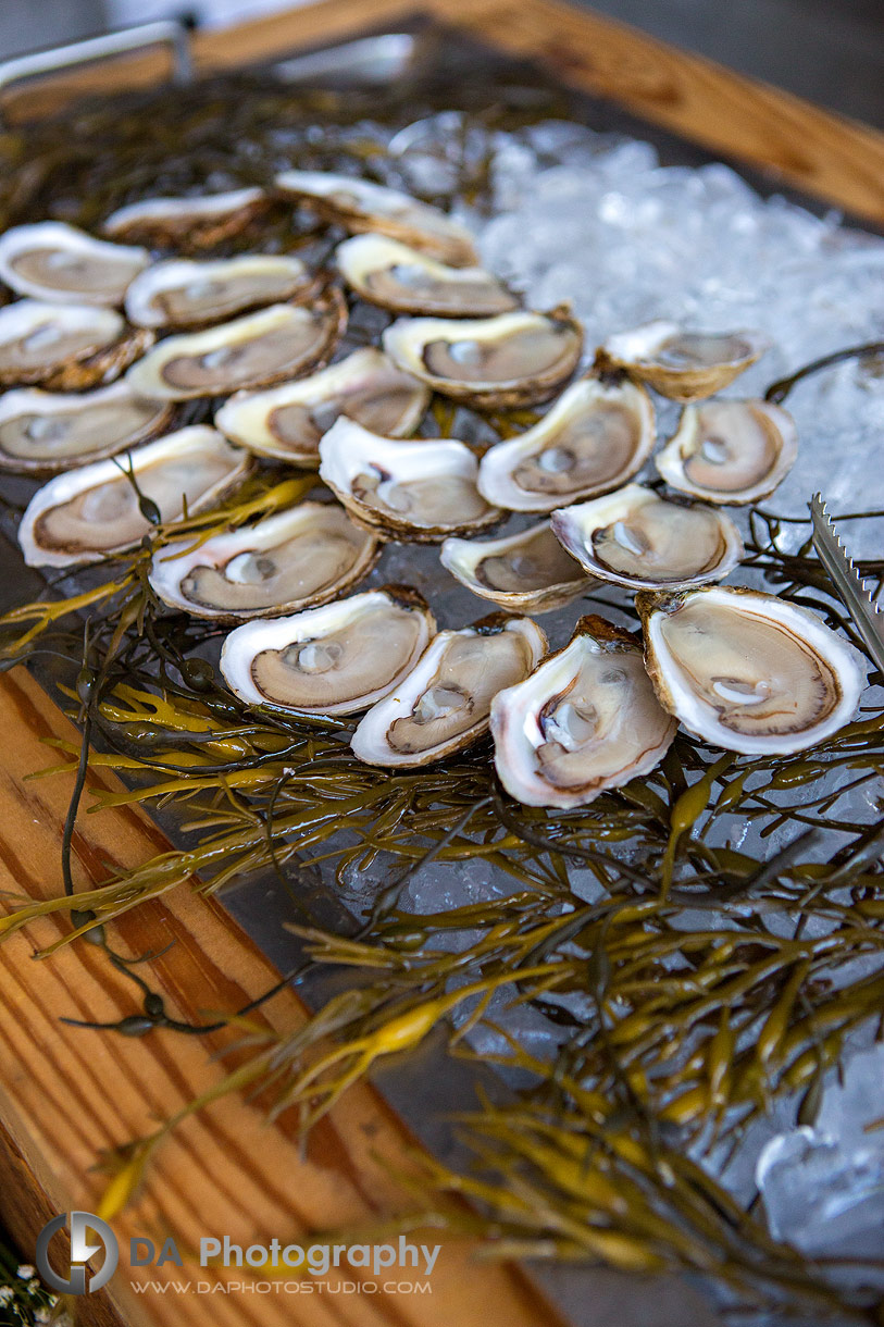 Close up Photo of Photo of a Oyster Bar in home setting