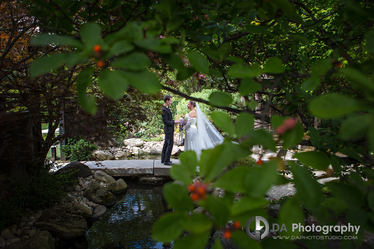 Wedding Photos at The Japanese Garden in University of Guelph Arboretum