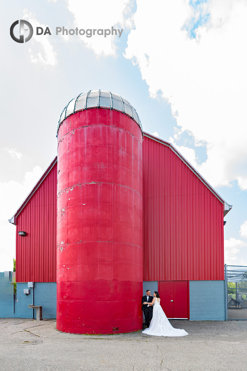 Best Wedding Pictures in Brampton