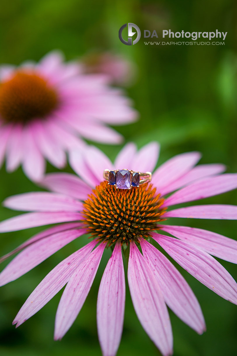 Engagement at Goldie Mill Ruins