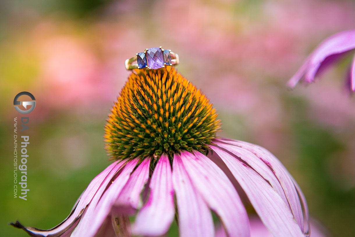 Close up photo of an engagement ring in Guelph