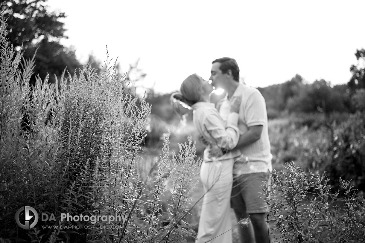 Engagement Pictures in Guelph at the University of Guelph Arboretum during sunset