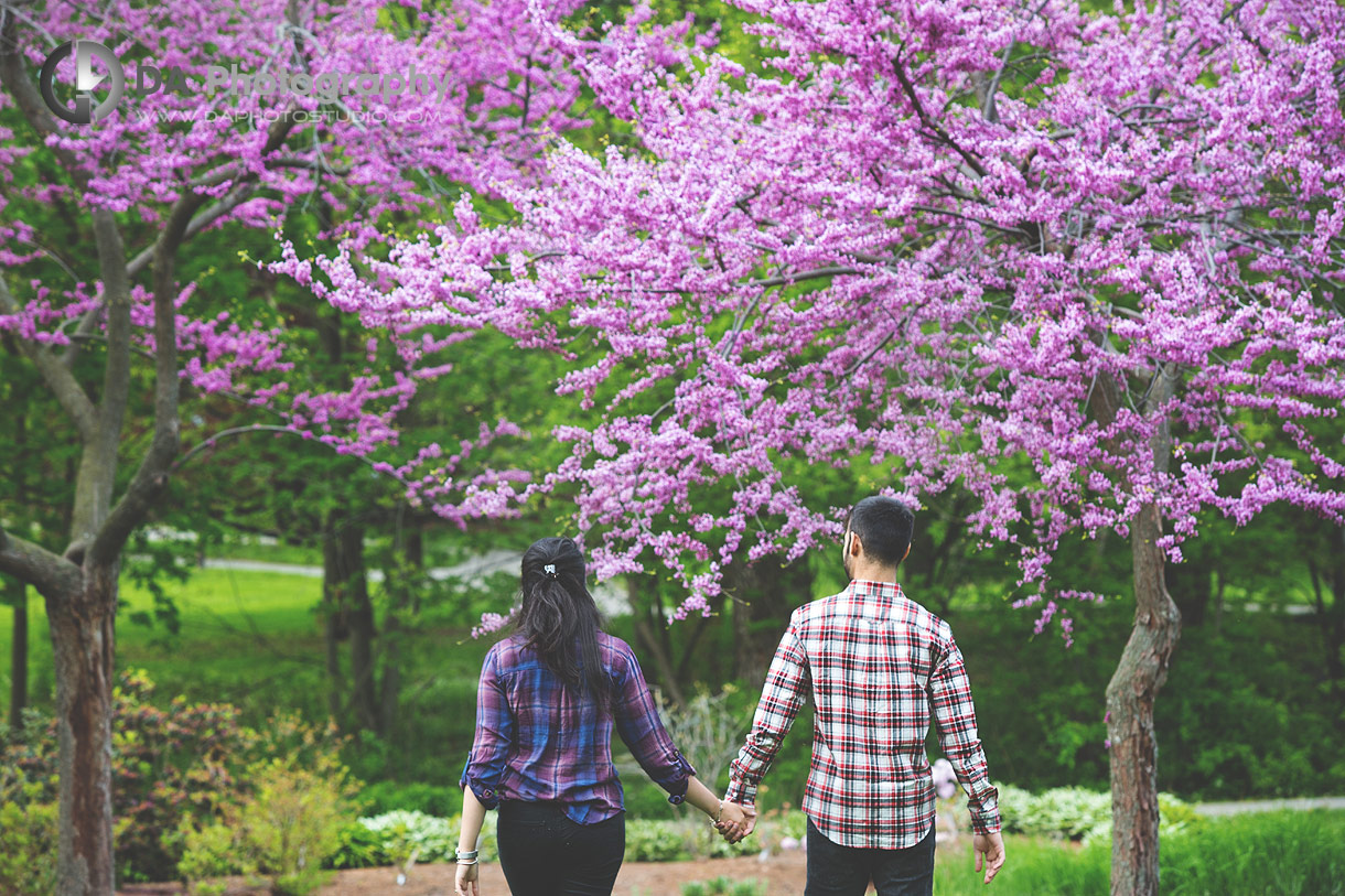 Engagement at Brueckner Rhododendron Gardens in Mississauga