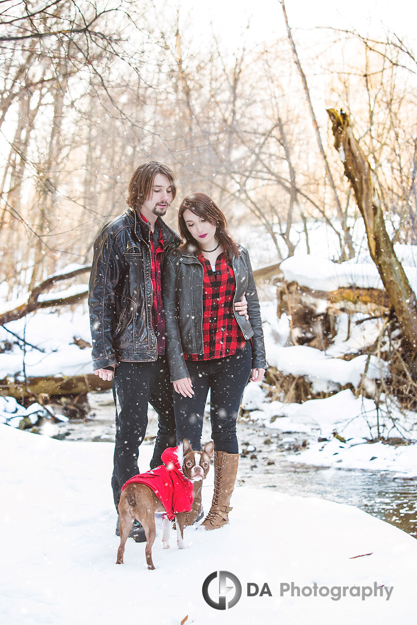 Engagement at Barrie Arboretum and Sunnidale Park