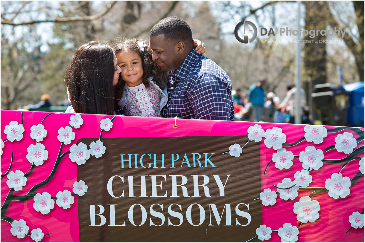 Cherry Blossom Engagement Session in Toronto