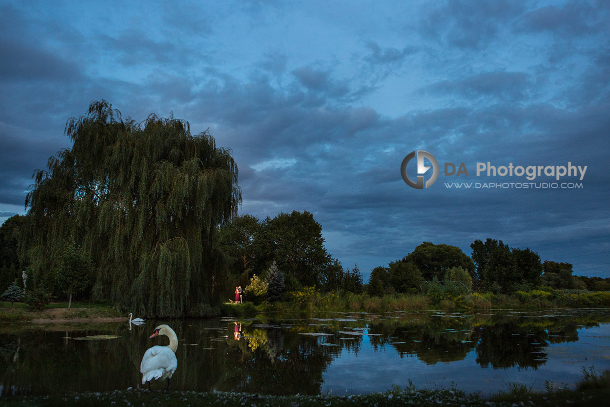 Whistling Gardens Engagement at Sunset