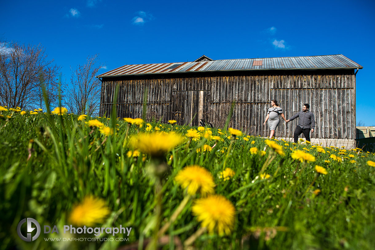 Country Heritage Park Engagement in Milton