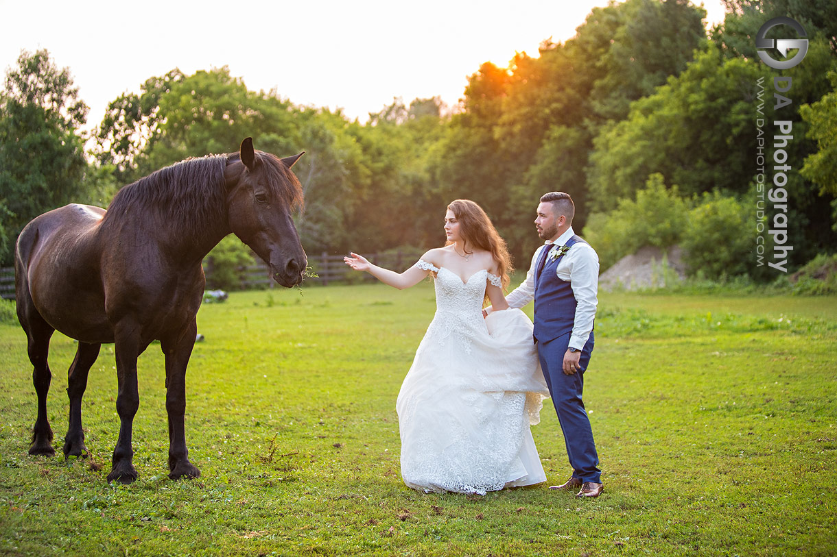 Rustic Wedding wth Horses in Ayr