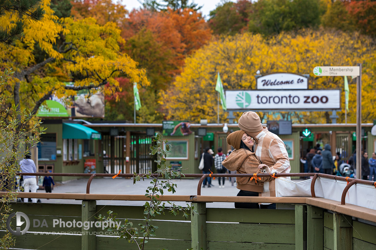 Toronto Zoo Engagement photographer